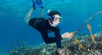 Four Seasons Resort Mauritius at Anahita launches La Passe Cadet Reef Restoration Project in partnership with WiseOceans