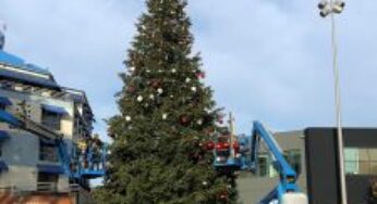 Jack London Square to hold annual Tree Lighting Ceremony on Friday, November 30