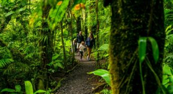 Four Seasons Resort Costa Rica at Peninsula Papagayo brings guests close to Costa Rica’s rare and endangered wildlife through its new Conservation Land and Sea Experience