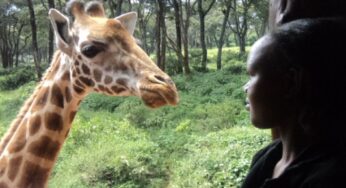 Cruzeiro Safaris unveils top travel ideas for solo travelers in Kenya