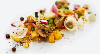 SAS expands its award-winning concept ‘New Nordic by SAS’ with two vegetarian menus