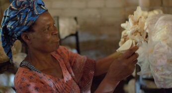 Royal Livingstone by Anantara Empowers Women and Supports Sustainable Farming in Zambia