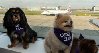 The Cuddle Club brings therapeutic pooches to London City Airport