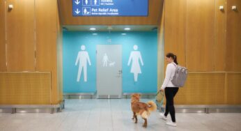 Helsinki Airport launches pet relief areas