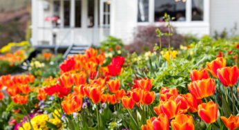 Real Journeys’ Walter Peak High Country Farm garden awarded with a 4-star rating by the New Zealand Gardens Trust