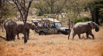 Cruzeiro Safaris Kenya offers 15% travel discount on 3 days safari in Masai Mara