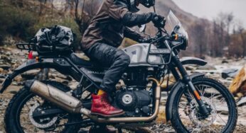 Book now, pay later: Wild Triumph launch offers, discounts packages to woo customers