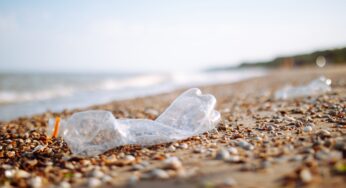 UNWTO announces 26 new signatories for the Global Tourism Plastics Initiative