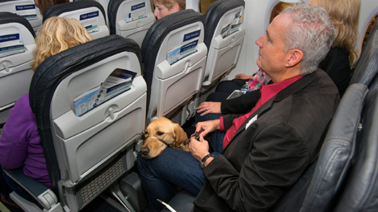 Alaska airlines pet 2024 policy emotional support