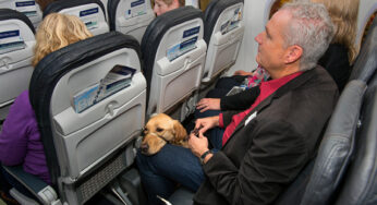 Alaska updates policy on service animals onboard