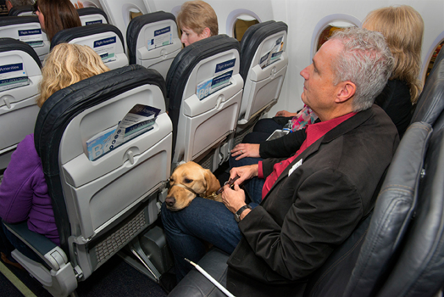 36 HQ Images American Airlines Pet Policy Military : American Airlines Military Baggage Policy & Military Discounts