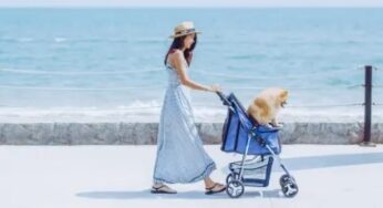 Avani+ Hua Hin Resort offers four-legged friends and their humans plenty of pampering with ‘Bark & Breakfast’ overnight stay package