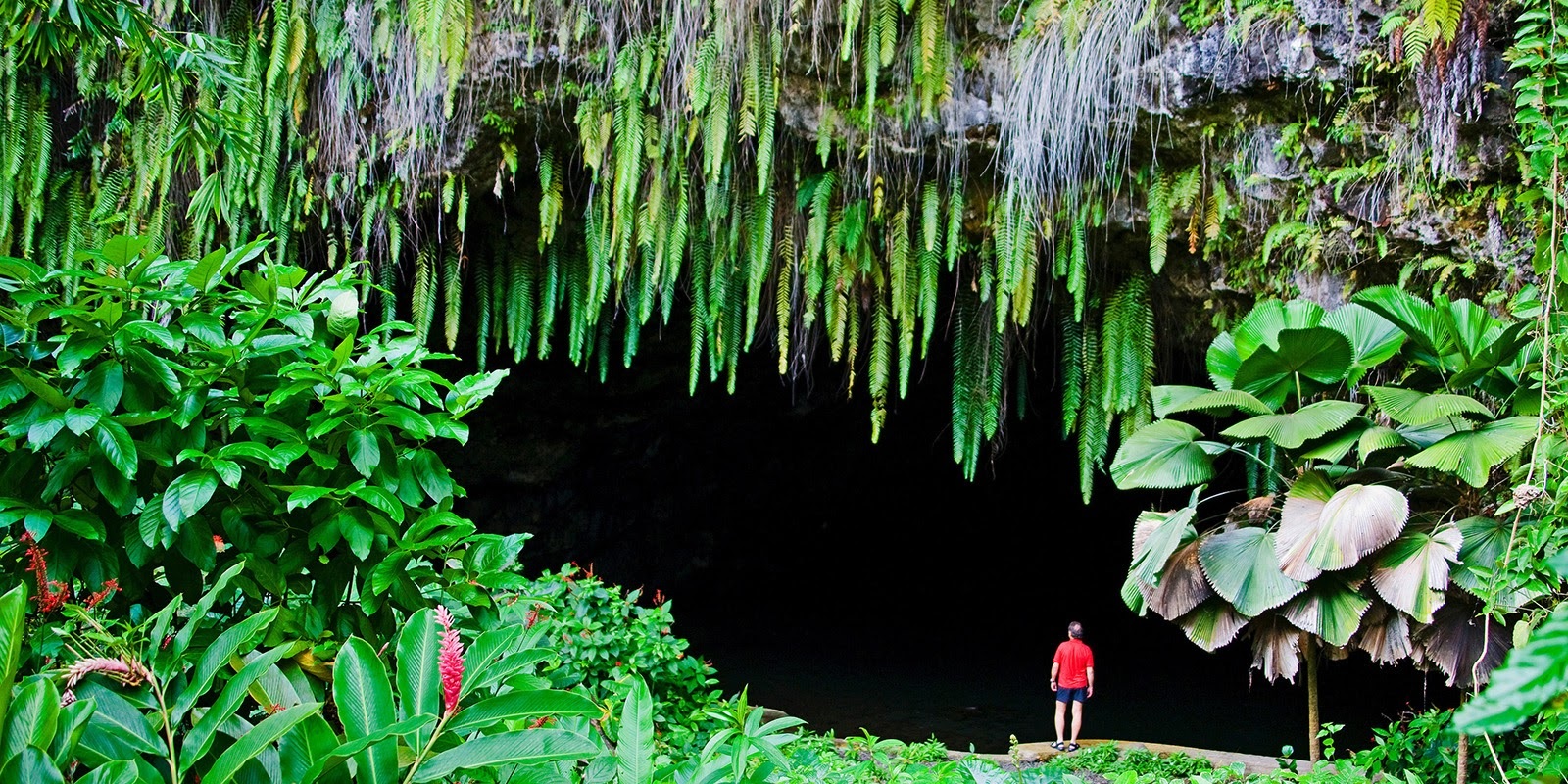 Exploring photogenic spots around The Islands of Tahiti