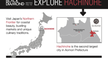 Everything you need to know about Hachinohe