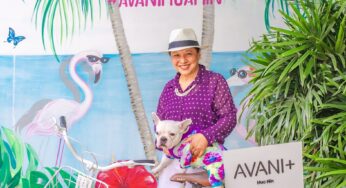 Avani+ Hua Hin Resort to host an open-air festival for pooches and their owners