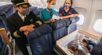 Aer Lingus to transport endangered loggerhead sea turtle to Gran Canaria