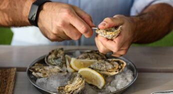 Emirates SkyCargo supports UAE start-up by transporting its premium oysters to Moscow