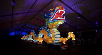 Zoo Atlanta teams up with Hanart Culture to bring IllumiNights at the Zoo: A Chinese Lantern Festival