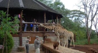 Cruzeiro Safaris: Top 10 Tours and Luxury Travel Packages in Kenya