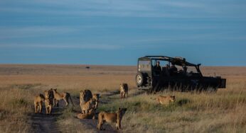 Cruzeiro Safaris Kenya ready to welcome visitors as travel and tourism restarts