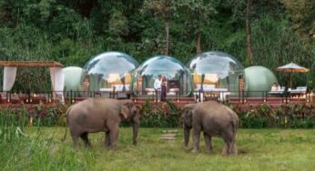 Spend the night observing elephants in their natural habitat at Anantara Golden Triangle Elephant Camp & Resort’s unique transparent Jungle Bubbles