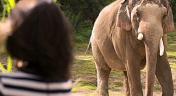 The Columbus Zoo and Aquarium names Rick Hudson as the recipient of the Zoo’s 2021 Commitment to Conservation Award