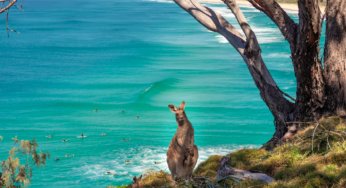 TOURISM AUSTRALIA APPOINTS ONE GREEN BEAN AS RETAINED UK PR AGENCY