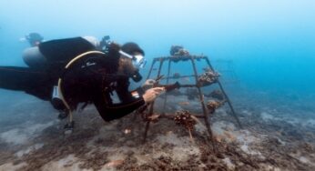 Four Seasons Resort Costa Rica expands coral gardening experience to celebrate World Oceans Day