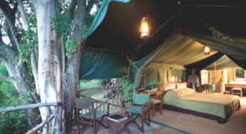 Embark on a Kenyan Adventure: Explore the Wonders of Kenya with Cruzeiro Safaris