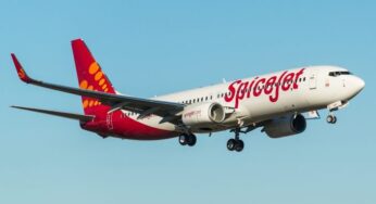 Book Low Cost Domestic Air Tickets on Spicejet