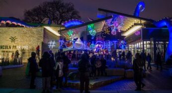 Lincoln Park Zoo announces return of ZooLights this November 18