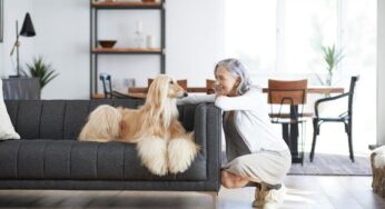 Homes & Villas by Marriott Bonvoy and Petco Health + Wellness Company elevate vacation experience for pet parents and their furry family members