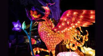 Zoo Atlanta announces return of IllumiNights