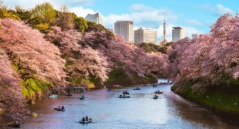 Experience the Magic of Cherry Blossoms with Tailored Springtime Getaways at Four Seasons Hotels in Japan