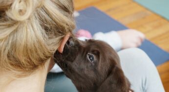 Four Seasons Hotel London at Park Lane launches PupsYoga package with furry friends for ultimate wellness experience