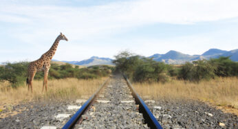 Safari Train Travel: The Madaraka Express Journey Takes Guests To Finch Hattons