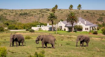 Travel Promoters Welcomes Two Exciting New Partnerships in South Africa