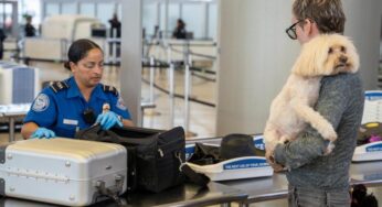 Houston Airports and TSA Collaborate to Educate Passengers on Traveling Safely with Pets