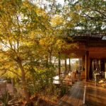 Singita Kruger National Park listed at No.15 in Teh World's 50 Best Hotels 2023