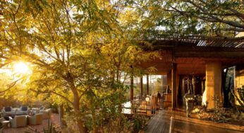 Singita Kruger National Park wins the Flor de Caña Eco Hotel Award and is named No.15 in The World’s 50 Best Hotels