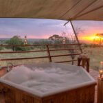 Serengeti Bushtops with added bubbles