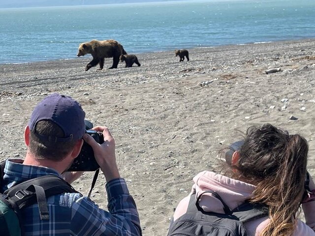 Bear Viewing in Alaksa