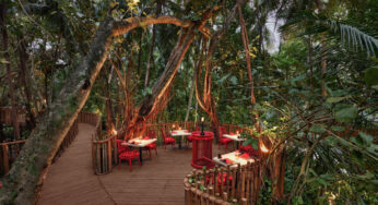 Niyama Private Islands Maldives Unveils Revamped Nest Restaurant with Jungle Dining Experience