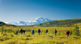 Camp Denali Invites Travelers to Explore Denali’s Untouched Wilderness in 2024: Introducing New Speaker Series for Nature Enthusiasts