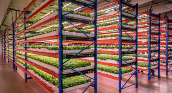 Emirates Flight Catering Completes Acquisition of Bustanica, World’s Largest Indoor Vertical Farm