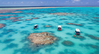 Qantas and Great Barrier Reef Foundation Collaborate to Restore Coral Reefs and Combat Climate Change