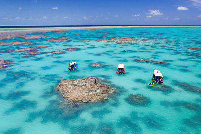 Travel PR News  Qantas and Great Barrier Reef Foundation Collaborate to  Restore Coral Reefs and Combat Climate Change