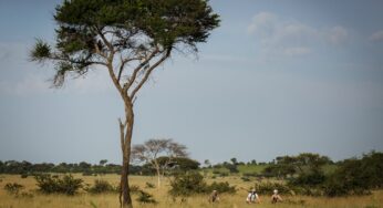 First-Ever Wagora MTB Ride: Cycling for Conservation in Tanzania’s Serengeti to Combat Poaching