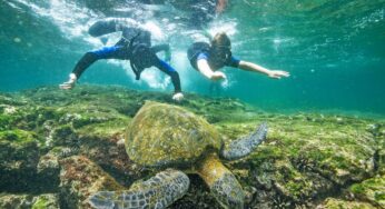 Ring in the Galápagos National Park’s 65th Anniversary with Top Sustainability Initiatives