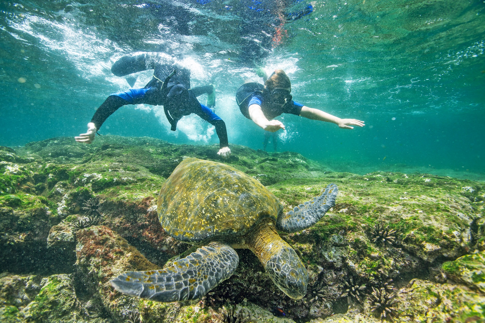 Ring in the Galápagos National Park’s 65th Anniversary with Top Sustainability Initiatives